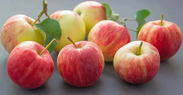 Foods That Fight Mouth Bacteria